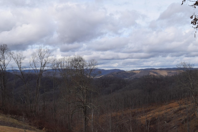 27.33AC Big Springs Rd, Eidson, TN 37731 - photo 8