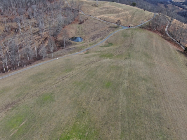 27.33AC Big Springs Rd, Eidson, TN 37731 - photo 53