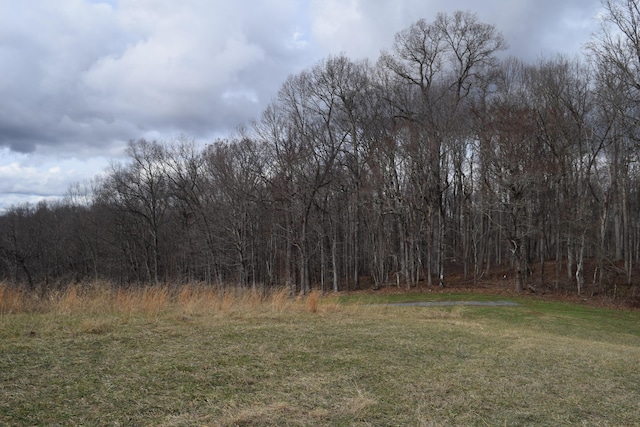 27.33AC Big Springs Rd, Eidson, TN 37731 - photo 26
