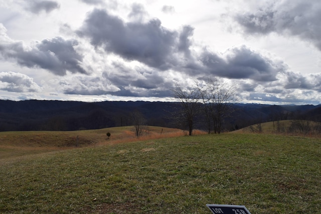 27.33AC Big Springs Rd, Eidson, TN 37731 - photo 13