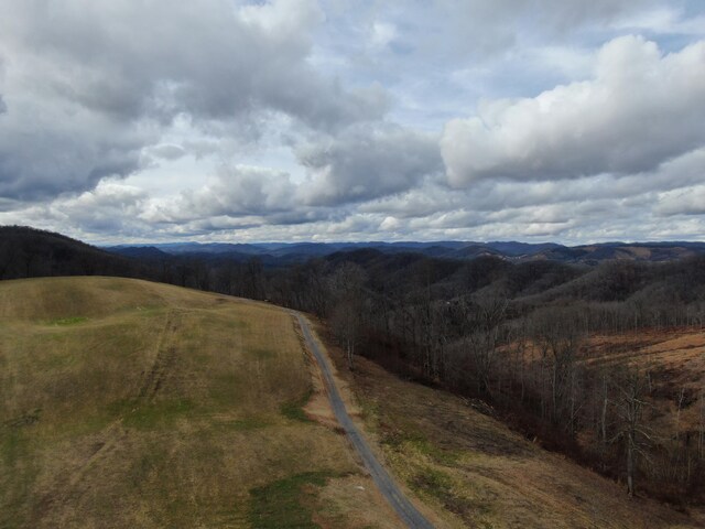 27.33AC Big Springs Rd, Eidson, TN 37731 - photo 39
