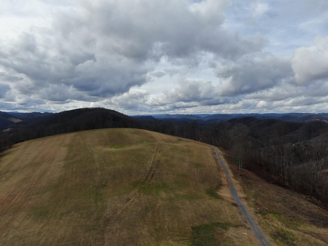 27.33AC Big Springs Rd, Eidson, TN 37731 - photo 40