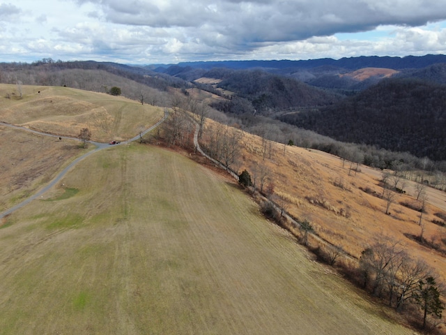 27.33AC Big Springs Rd, Eidson, TN 37731 - photo 45