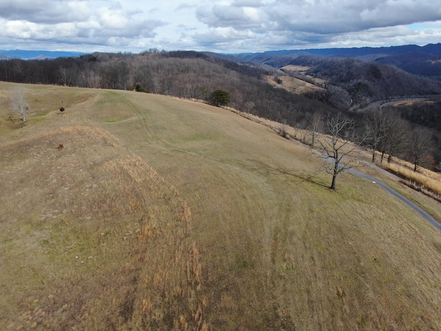 27.33AC Big Springs Rd, Eidson, TN 37731 - photo 51