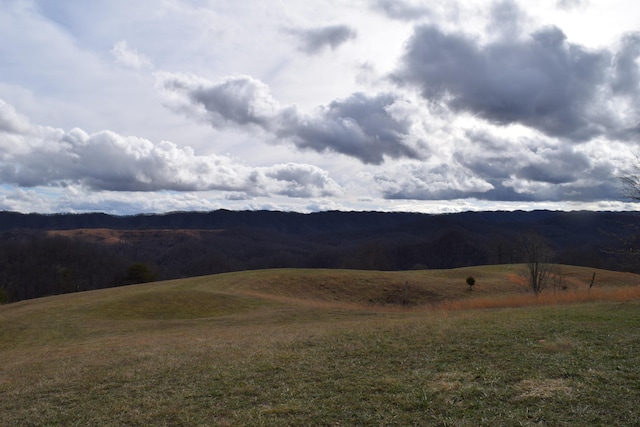 27.33AC Big Springs Rd, Eidson, TN 37731 - photo 16