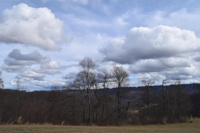 27.33AC Big Springs Rd, Eidson, TN 37731 - photo 27