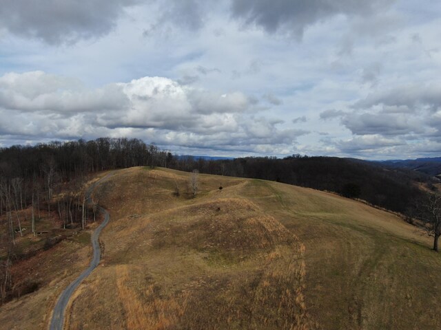 27.33AC Big Springs Rd, Eidson, TN 37731 - photo 55