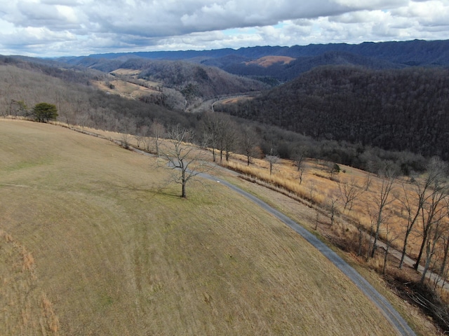 27.33AC Big Springs Rd, Eidson, TN 37731 - photo 1