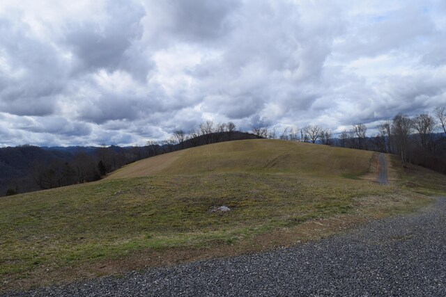 27.33AC Big Springs Rd, Eidson, TN 37731 - photo 21