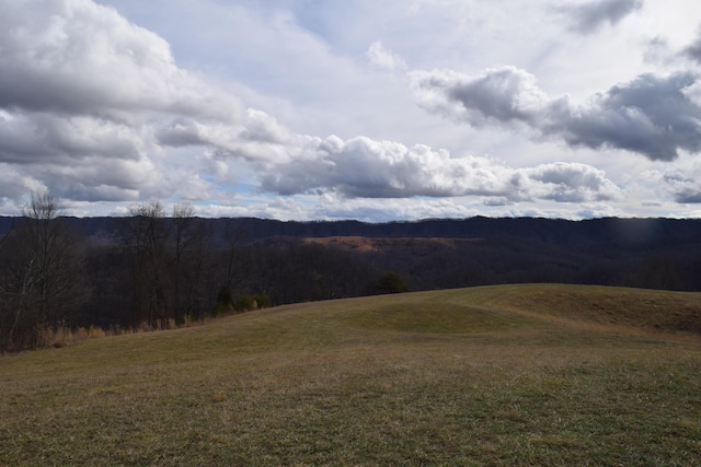 27.33AC Big Springs Rd, Eidson, TN 37731 - photo 15