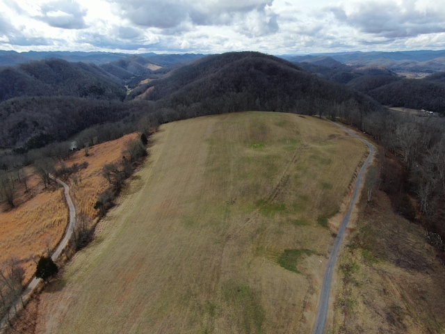 27.33AC Big Springs Rd, Eidson, TN 37731 - photo 50