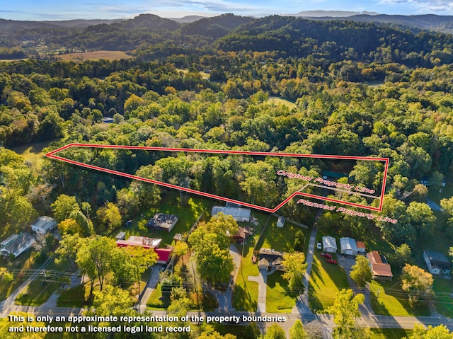 aerial view with a mountain view