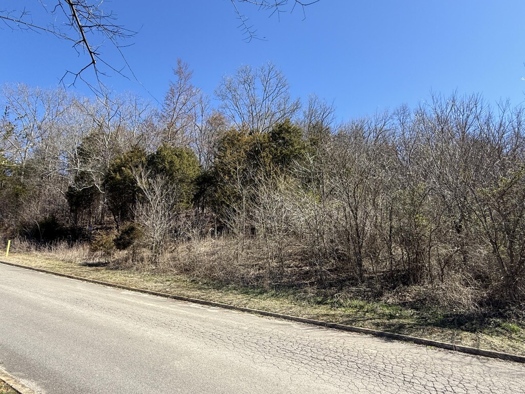 00 Secluded River Cir, Parrottsville, TN 37843 - photo 4