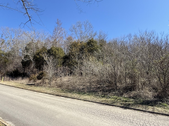 00 Secluded River Cir, Parrottsville, TN 37843 - photo 4