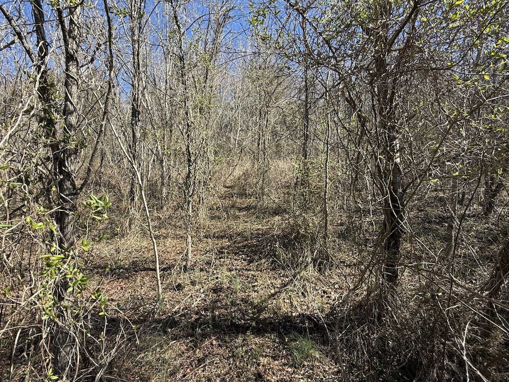 00 Secluded River Cir, Parrottsville, TN 37843 - photo 2