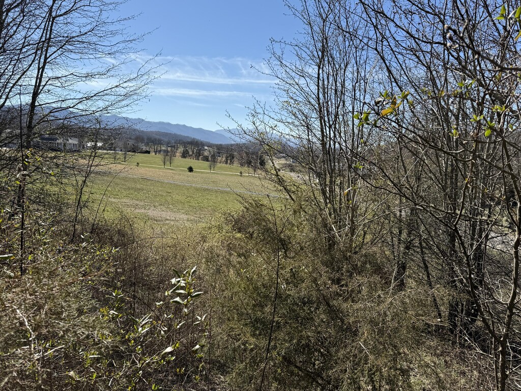 00 Secluded River Cir, Parrottsville, TN 37843 - photo 3