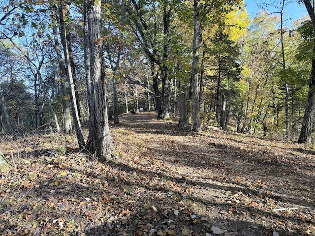 TRACT6 Topaz Way, Parrottsville, TN 37843 - photo 5
