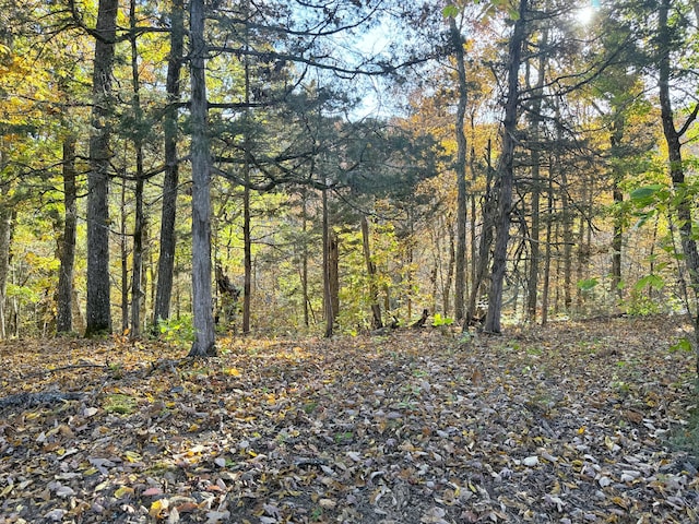 TRACT6 Topaz Way, Parrottsville, TN 37843 - photo 2