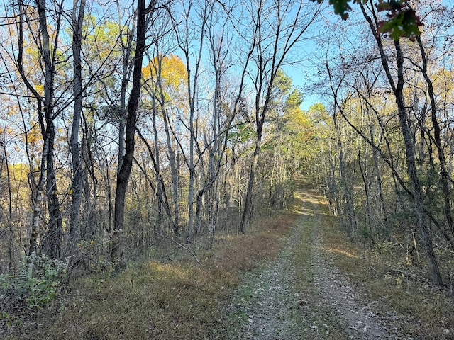 TRACT6 Topaz Way, Parrottsville, TN 37843 - photo 4