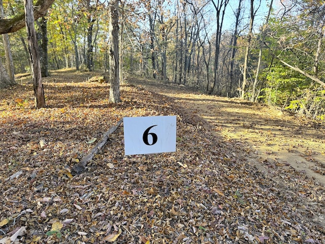 TRACT6 Topaz Way, Parrottsville, TN 37843 - photo 1