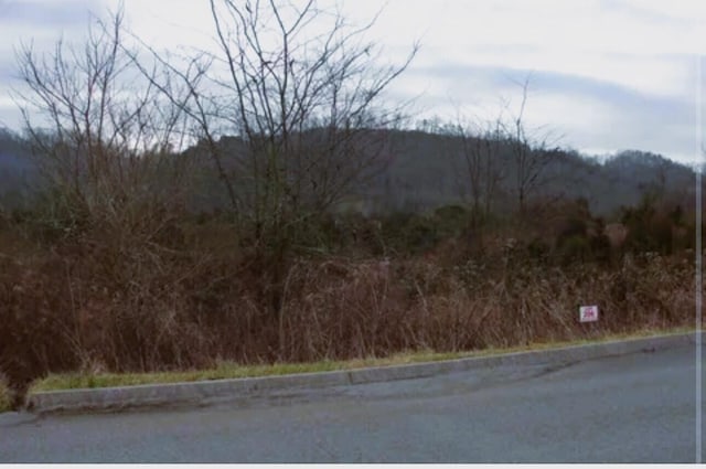 LOT206 Wedge Way, Tazewell TN, 37879 land for sale