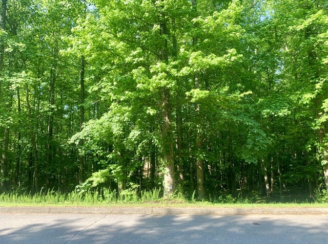 LOT5 Blue Heron Dr, Harriman, TN 37748 - photo 6