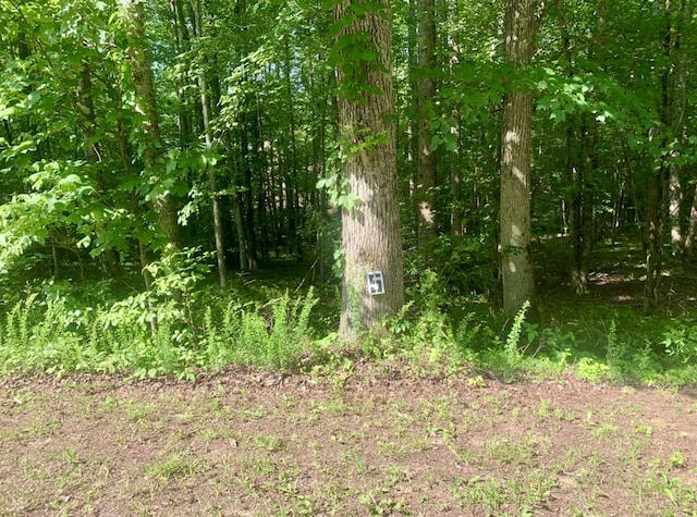 LOT5 Blue Heron Dr, Harriman, TN 37748 - photo 4