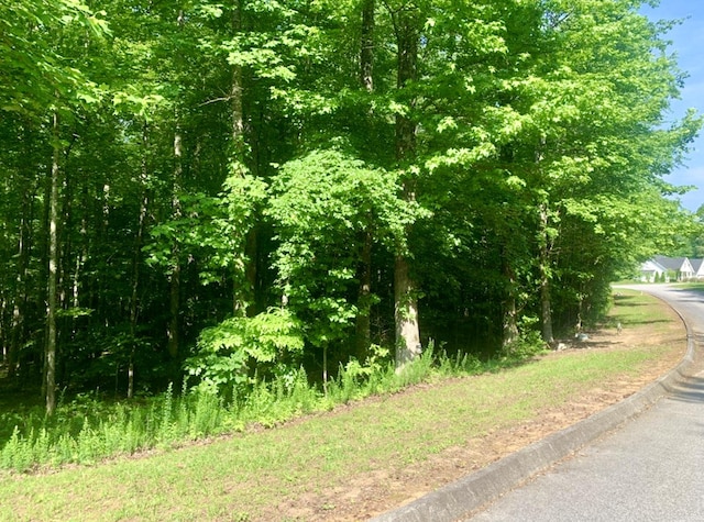 LOT5 Blue Heron Dr, Harriman, TN 37748 - photo 5