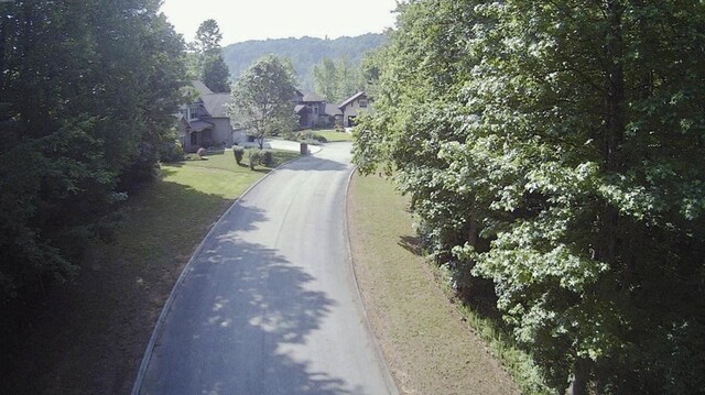 LOT5 Blue Heron Dr, Harriman, TN 37748 - photo 14