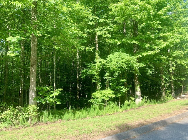 LOT5 Blue Heron Dr, Harriman, TN 37748 - photo 7