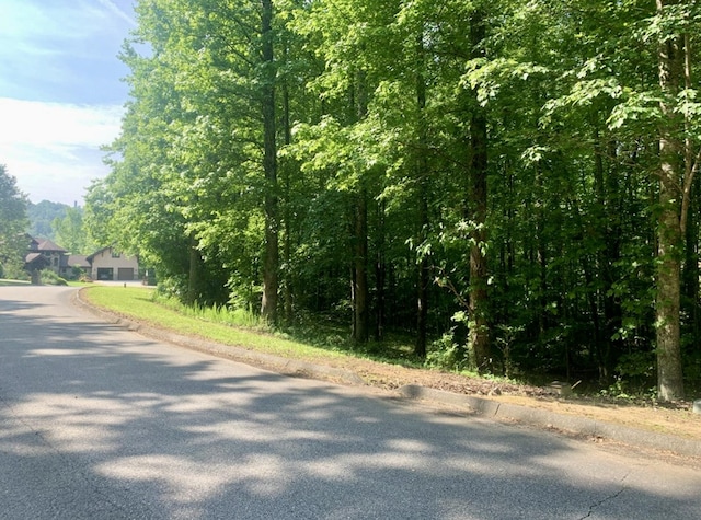LOT5 Blue Heron Dr, Harriman, TN 37748 - photo 8