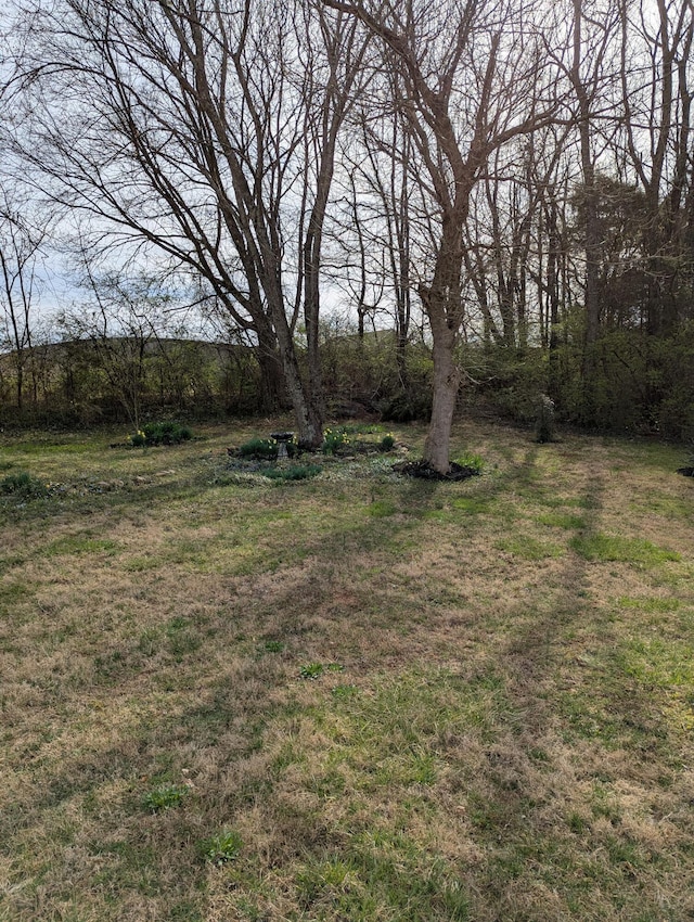 641 Grandeur Dr, Talbott, TN 37877 - photo 31