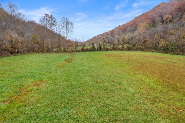 view of yard featuring a mountain view