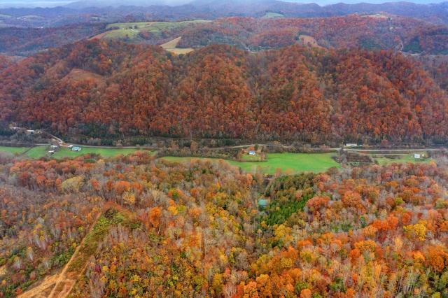 property view of mountains