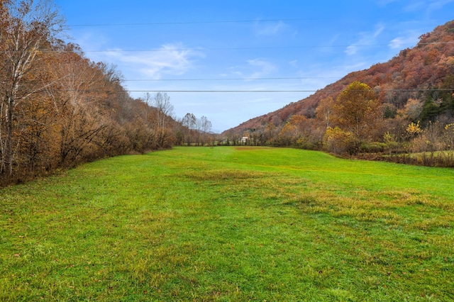 view of yard with a mountain view