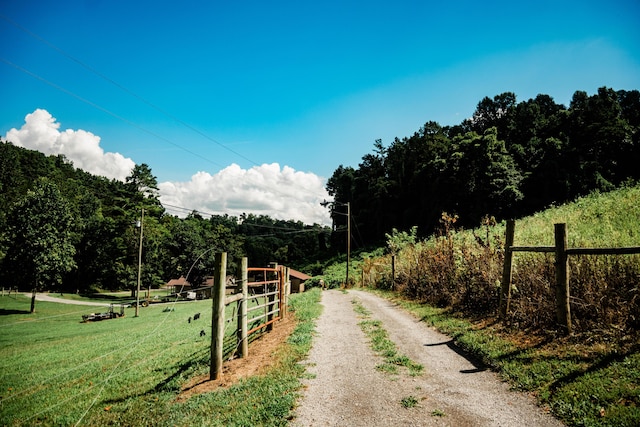 2570 Hodgetown Rd, Rutledge, TN 37861 - photo 12