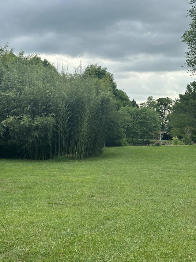 3041 Wineberry Ln, Morristown, TN 37814 - view of grassy yard