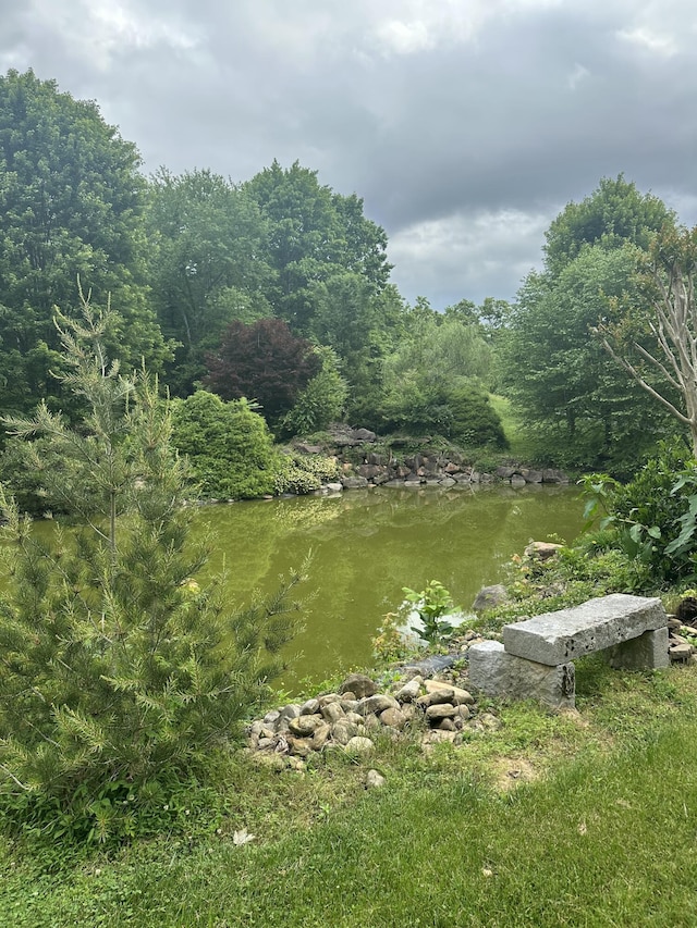 3041 Wineberry Ln, Morristown, TN 37814 - water view featuring a heavily wooded area