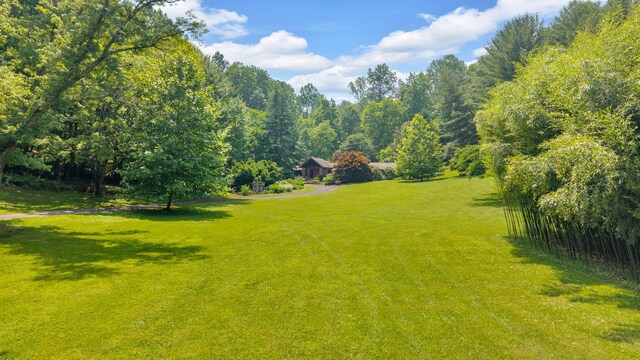 3041 Wineberry Ln, Morristown, TN 37814 - photo 37