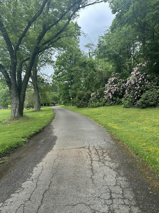 3041 Wineberry Ln, Morristown, TN 37814 - view of road