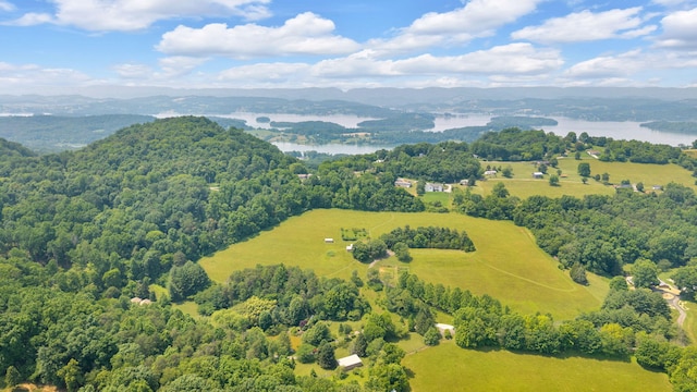 3041 Wineberry Ln, Morristown, TN 37814 - photo 40