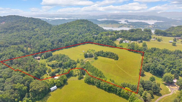 3041 Wineberry Ln, Morristown, TN 37814 - photo 64