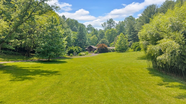 3041 Wineberry Ln, Morristown, TN 37814 - photo 57