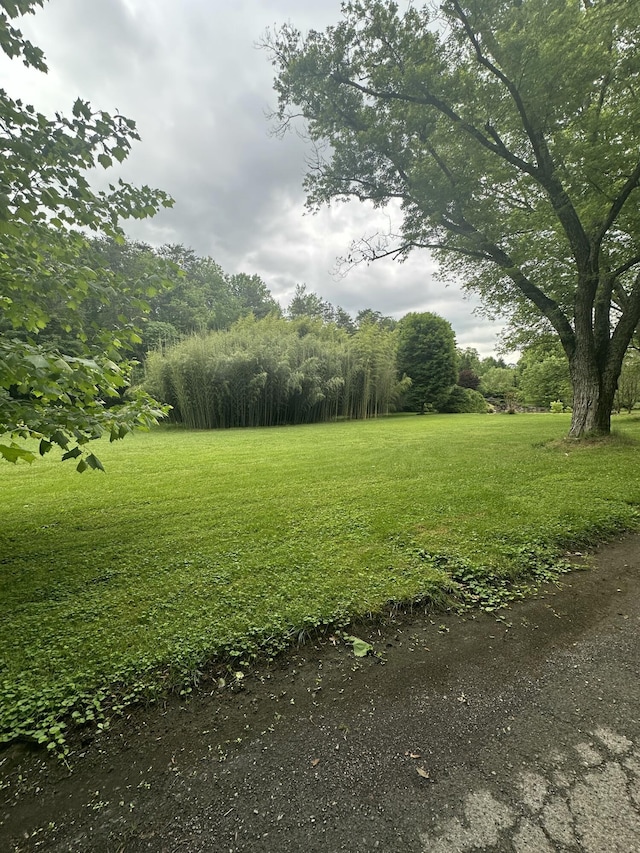 3041 Wineberry Ln, Morristown, TN 37814 - view of grassy yard with a forest view