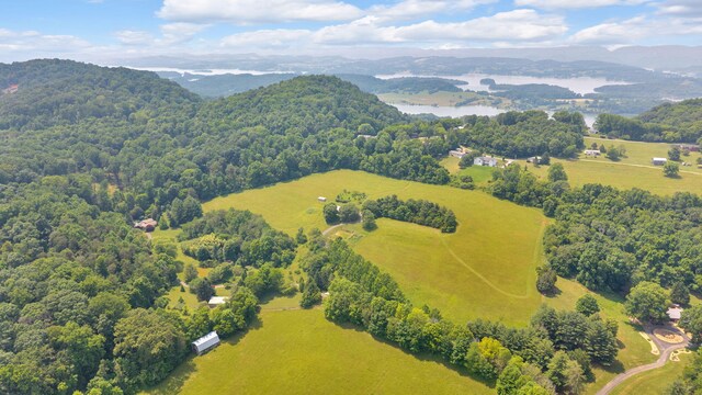 3041 Wineberry Ln, Morristown, TN 37814 - photo 39