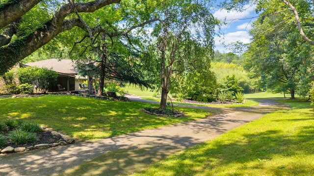 3041 Wineberry Ln, Morristown, TN 37814 - photo 54