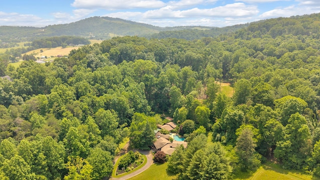 3041 Wineberry Ln, Morristown, TN 37814 - photo 62
