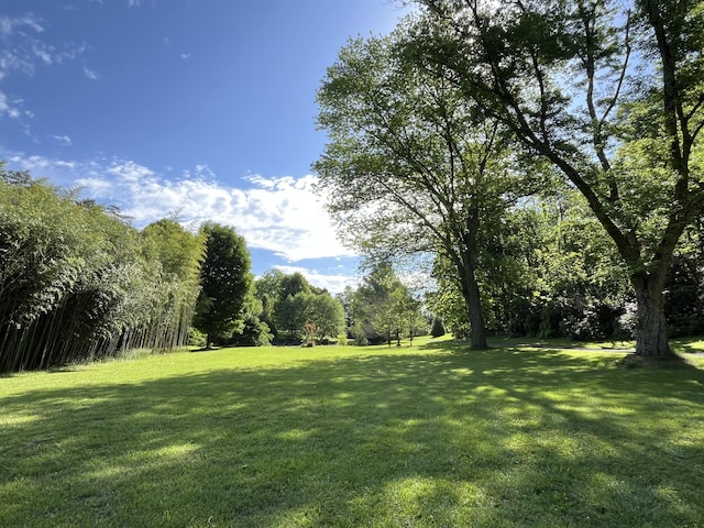 3041 Wineberry Ln, Morristown, TN 37814 - view of green lawn