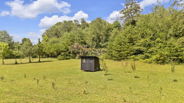 view of yard with a shed