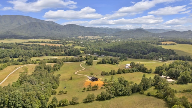 birds eye view of property with a mountain view